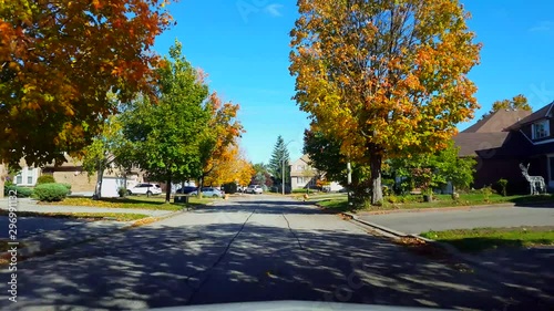Driving Suburb Residential Road in Autumn Season in Day.  Driver Point of View POV Along Suburban Street During Fall With Colorful Orange and Red Leaves.
