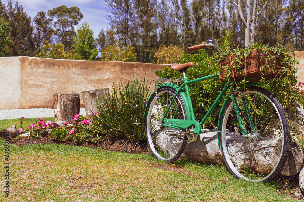 Bicicleta vintage color verde con canastilla al frente estacionada en jardín de Val quírico Tlaxcala