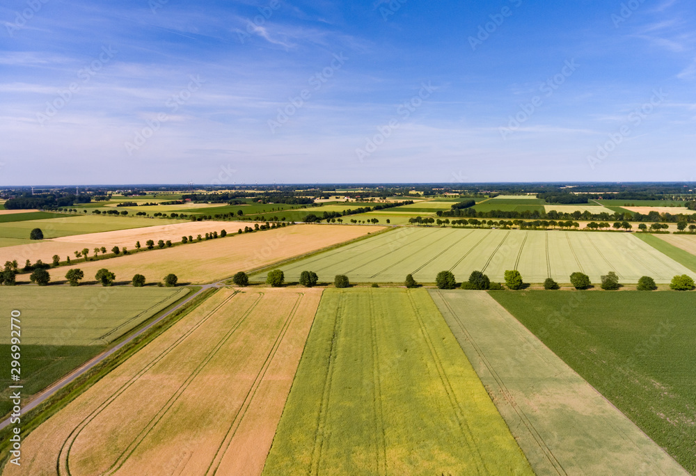 Drohnenfoto - Unterschiedliche Getreidefelder neben einander