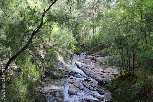 The Greater Beedelup Nationalpark, Pemberton Western Australia