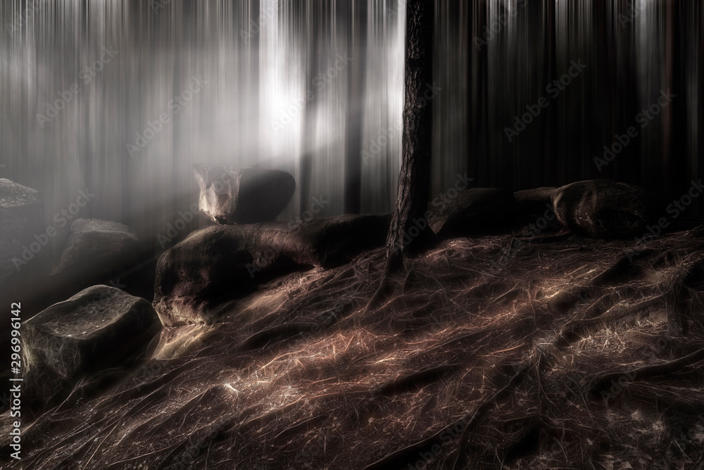 Fototapeta premium Light