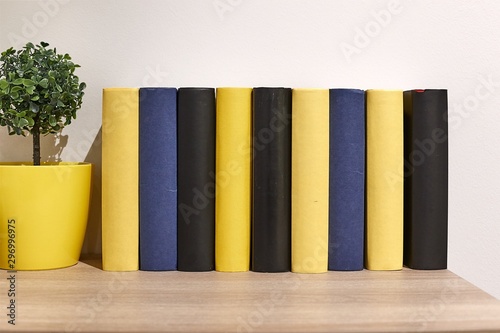 Wooden book shelf with series of books, no titles shown, blank sides