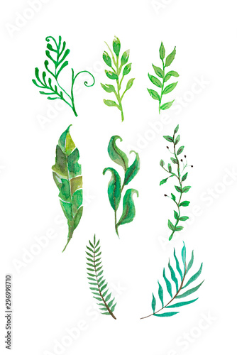 set of watercolor green branches and leaves, hand drawn design elements