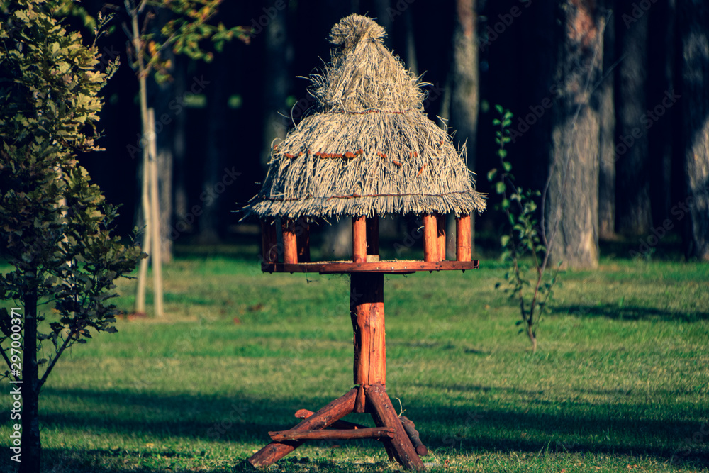 birdhouse in the forest close up
