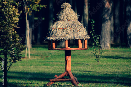 Obraz na płótnie birdhouse in the forest close up w salonie