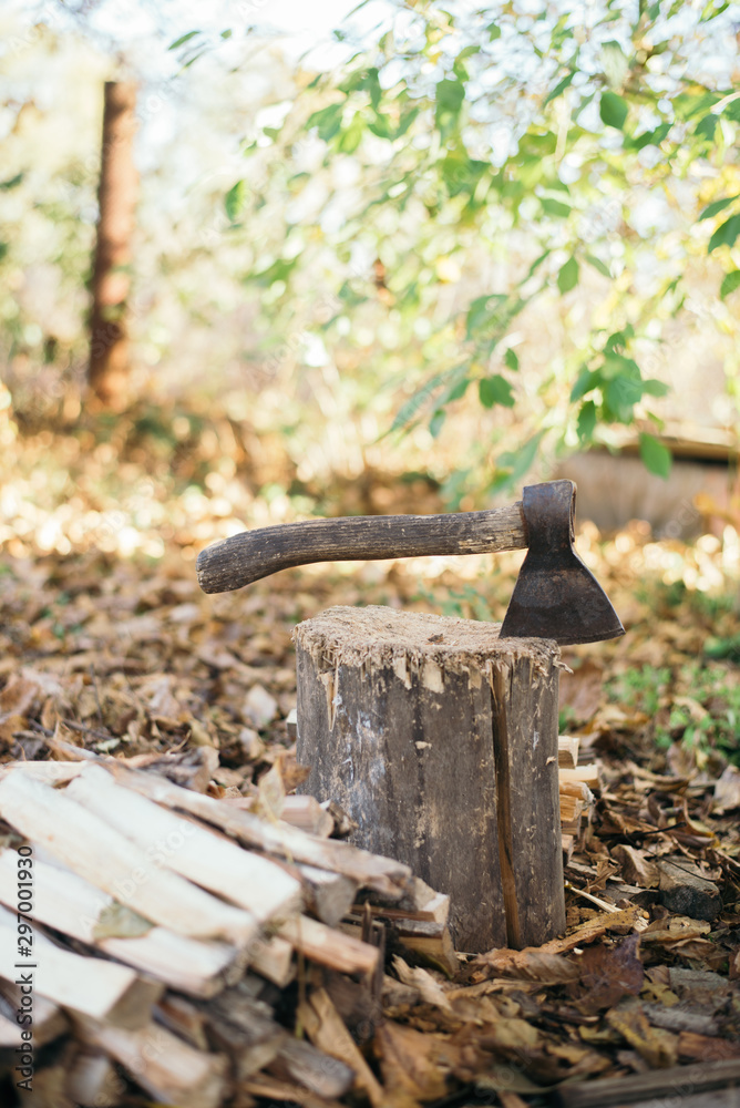 Male Lumberjack in the black-and-red plaid shirt with an ax chopping a tree in the forest. Male Lumberjack in the black-and-red plaid shirt with an ax chopping a tree in the forest.