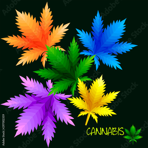 Colorful Cannabis leaves drug marijuana on black background