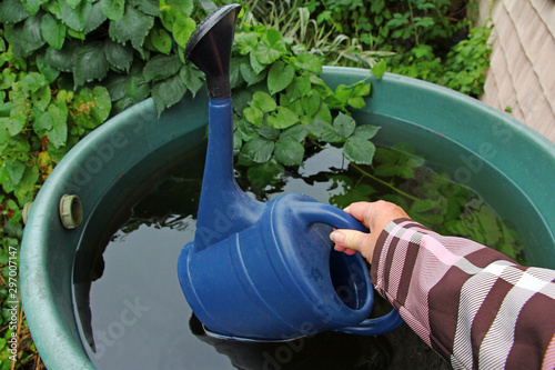 Eine Frau holt mit der Gießkanne Regenwasser aus der Regentonne. Gießen mit Regenwasser