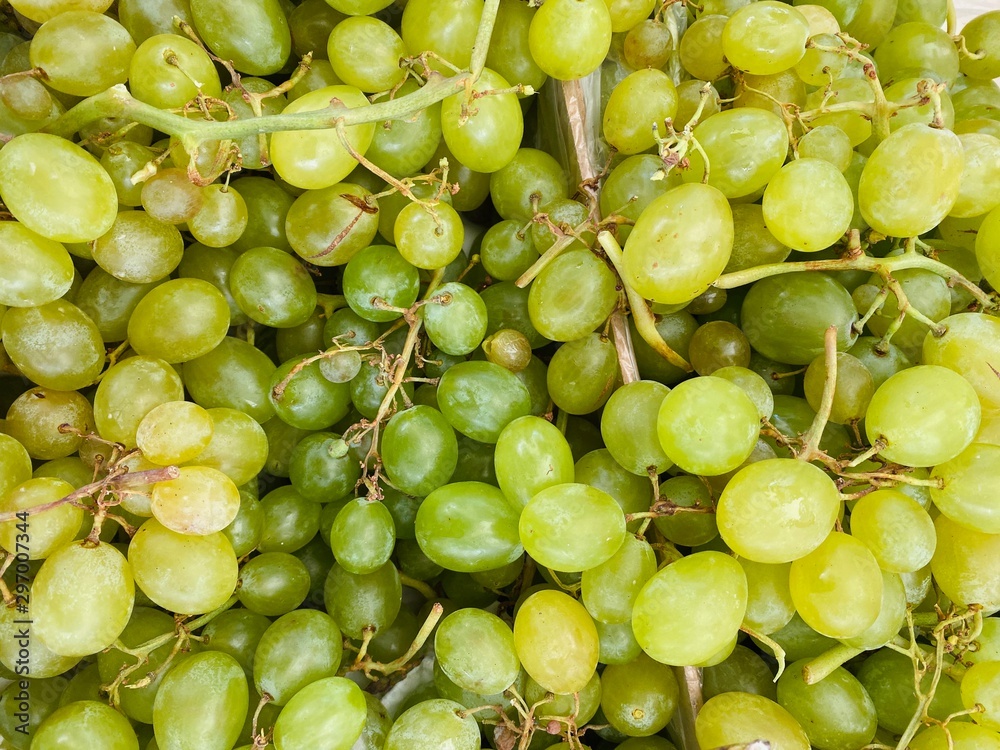 Lovely isolated healthy food for a good life Lovely isolated healthy food for a good life