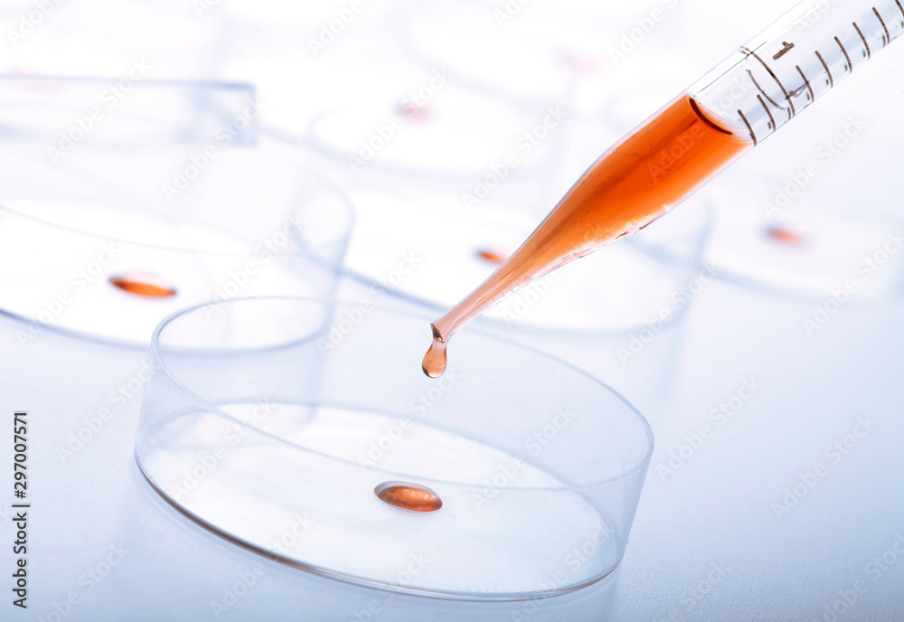 Petri dishes and pipette with liquid material. Petri dishes and pipette with liquid material.
