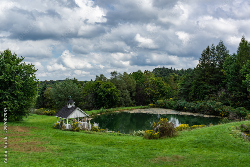 Obraz premium large pond with abandoned gazeebo
