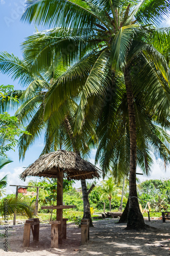 Restaurant table among coconut trees at the Hippie Village, famous place in Arembepe - Bahia, Brazil