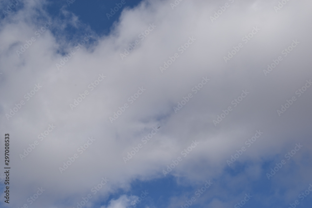 Colorado blue sky with small eagle Colorado blue sky with small eagle