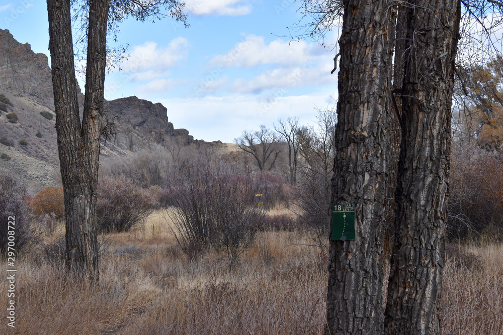 Fototapeta premium Colorado River Rural Park
