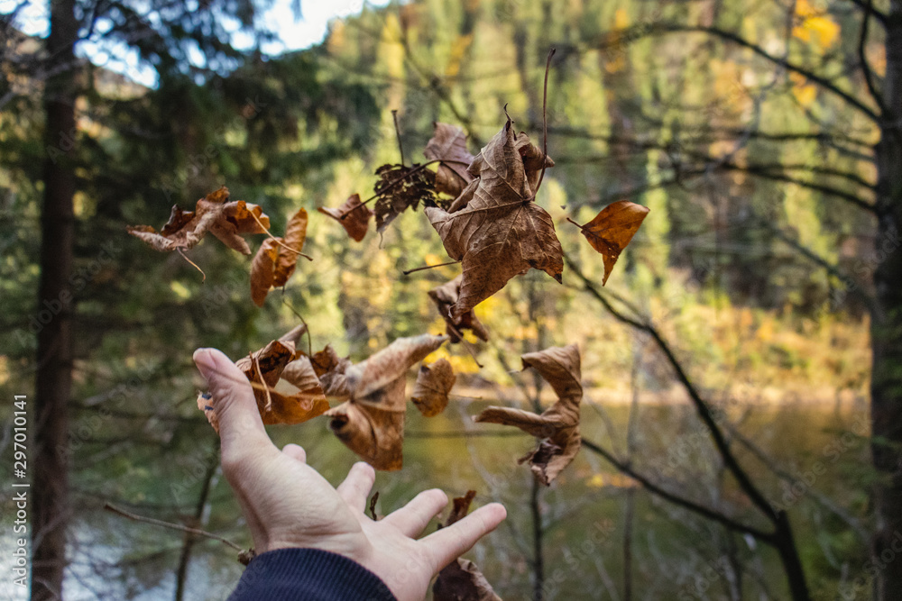 failing leaves from my hand in front of an lake