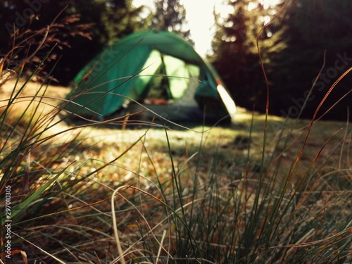 Colorful autumn views of forest and camping tent on sunrise. Green tourist tent stands in the autumn forest. Selective focus on grass and soft background.