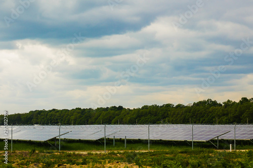 A field of solar panels on the background of flowers