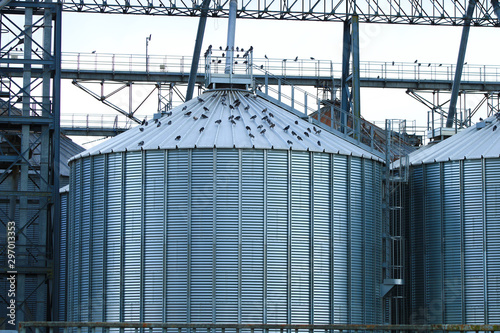 Wallpaper Mural Storage tanks used for various food or petrochemical products. Refinery metal silos lined up in an industrial area. Torontodigital.ca