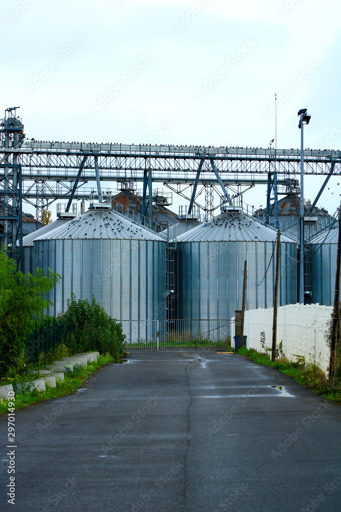 Obraz premium Storage tanks used for various food or petrochemical products. Refinery metal silos lined up in an industrial area.