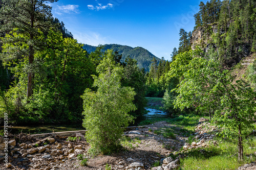 Spearfish Creek in the Black Hills