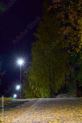 Stone pathway covered with autumn leaves under street lights in the night. Copy space.