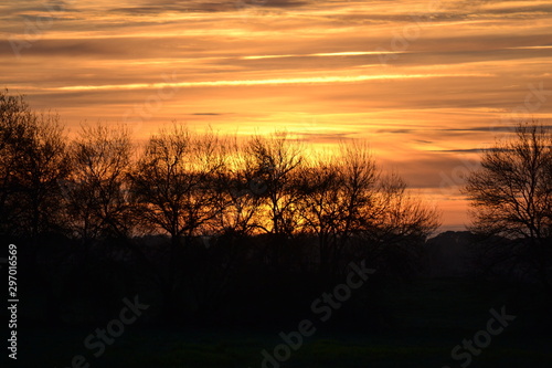 sunset over field