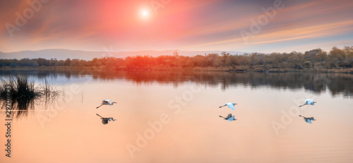 Landscape sunset