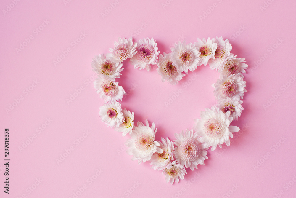 Heart made of  white small chrysanthemums on pink  background. Flat lay and top view photo. Valentine's Day