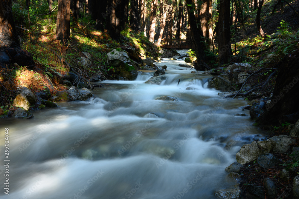 River Runs Through Forest in Limekiln State Forest