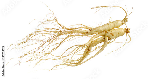 ginseng isolated on white background