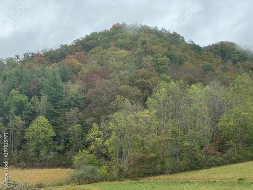 Foggy Appalachian Hill 1