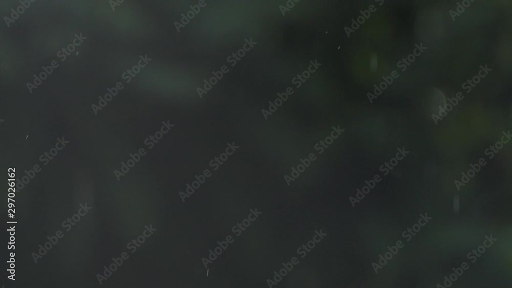 Rain mist on slow motion nature background Rain mist on slow motion nature background