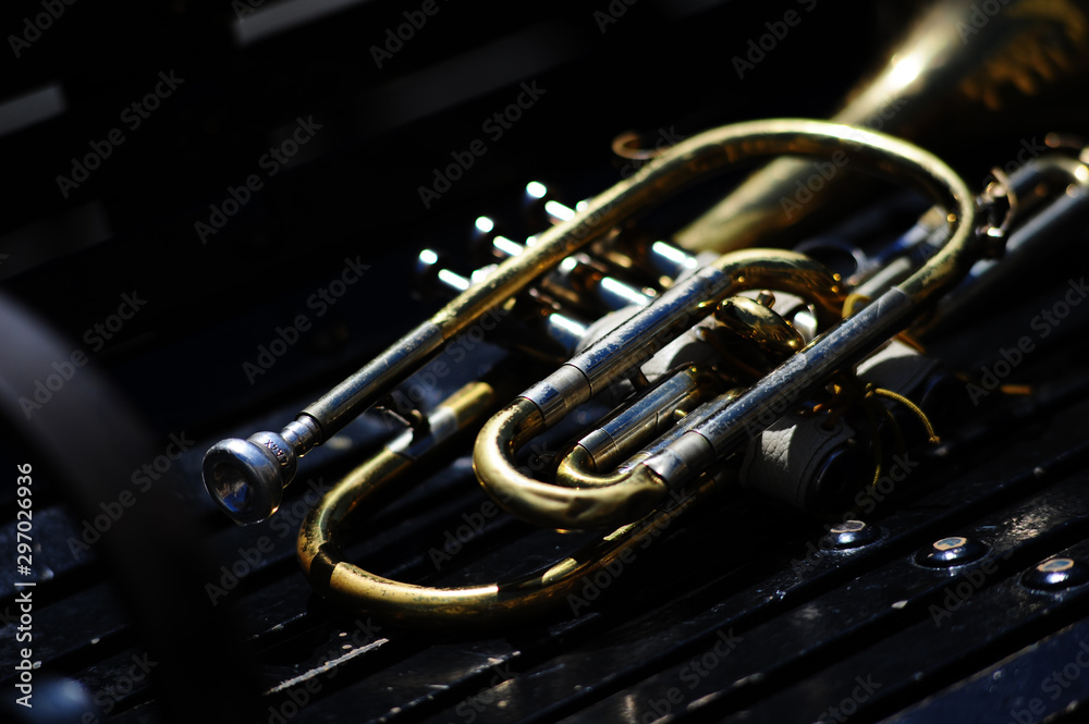 Naklejka premium trumpet still life