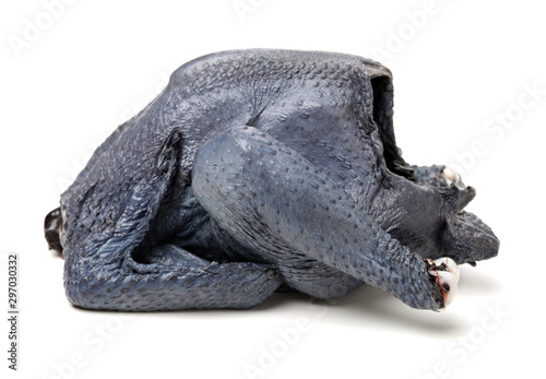 Whole Black Chicken  Silkie  Isolated On White Background