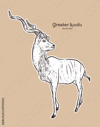greater kudu antelope, hand drawn vector illustration.