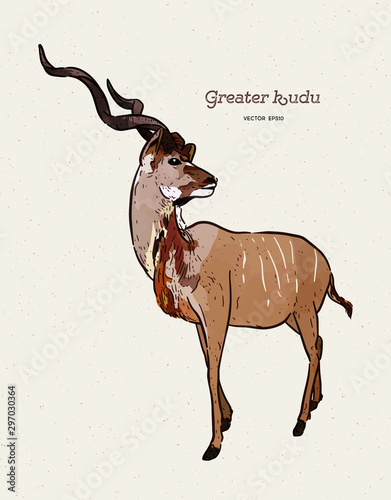 greater kudu antelope, hand drawn vector illustration.