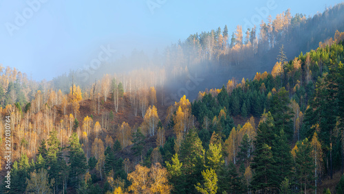 View of autumn mountain taiga  Siberia