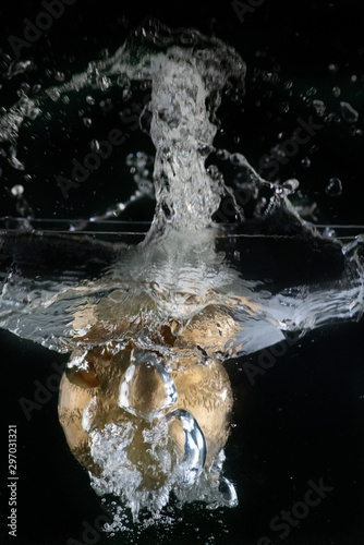 Melon or d'halloween façon citrouille, plongeant dans l'eau