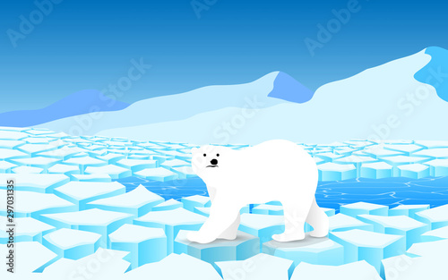 polar bear on the glacier at the geographic pole