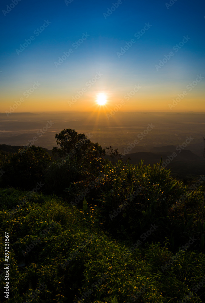 Landscape view of the sunrise Over field and tree foreground shadow defocused blur background