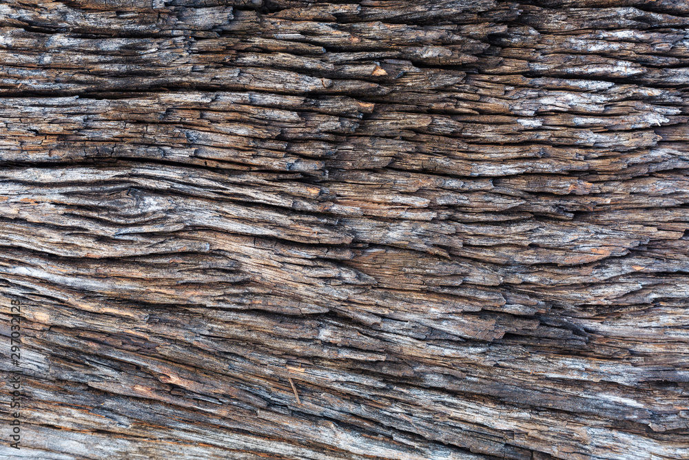 Fototapeta premium pattern and art of decay wood surface
