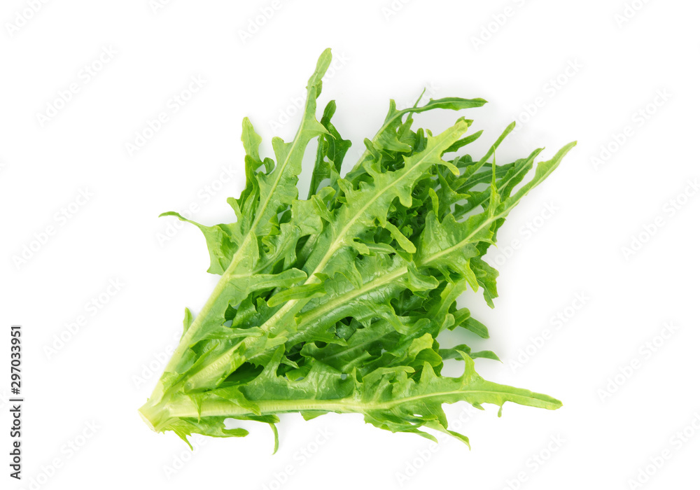green bowl lettuce isolated on white background, top view, flat lay green bowl lettuce isolated on white background, top view, flat lay