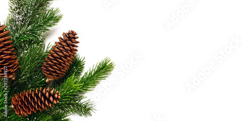 Banner. Isolate. Christmas or New Year background. A green branch of a fir tree with cones lies on a white isolated background.