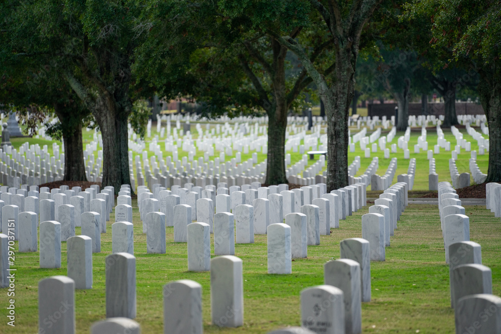 National American Cemetery with white graves 