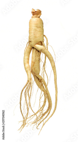 ginseng isolated on white background