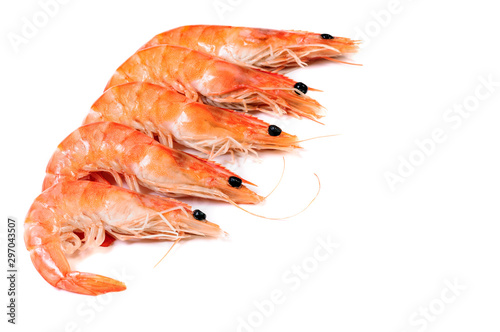 Five cooked shrimps prawn isolated