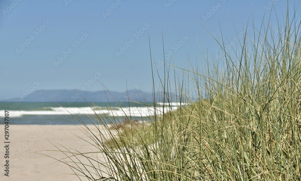 Landscape with a beach and sand dunes with grass Landscape with a beach and sand dunes with grass
