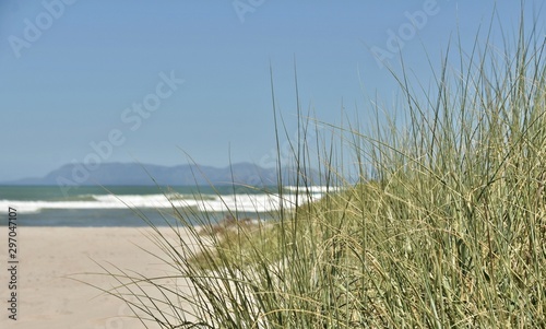Landscape with a beach and sand dunes with grass