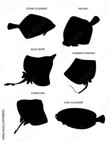 Flatfishes and rays. Vector drawing silhouettes set.