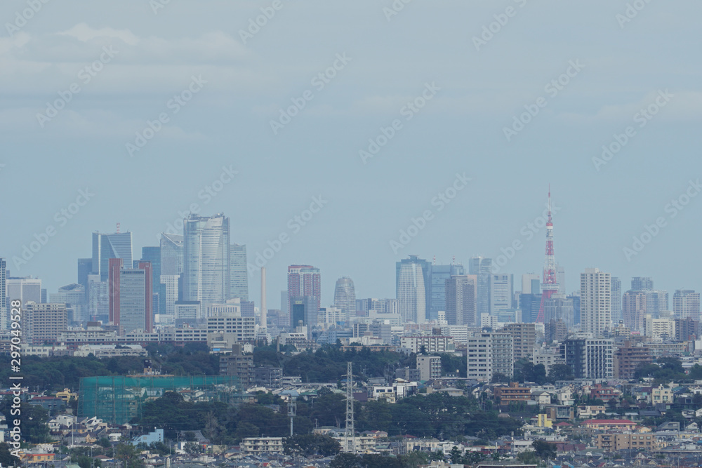 A distant view of Tokyo